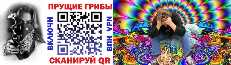 Псилоцибиновые грибы ЛСД Змеиногорск